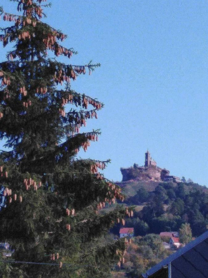 Le Gite Du Bucheron Dabo Bagian luar foto